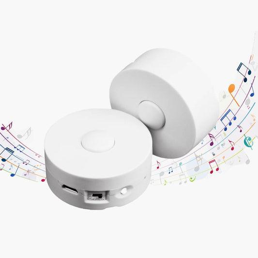 XLW Recorder,16Min Pillow.16MB (2P Voice Voice Recording Button for Stuffed Animals, Bear,Crafts Record Custom Messages