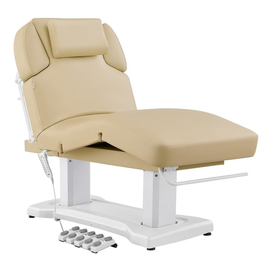 Dir Full Electric Medical Spa Treatment Bed Beauty Spa Massage Bed Chiropratic Bed Tranquility