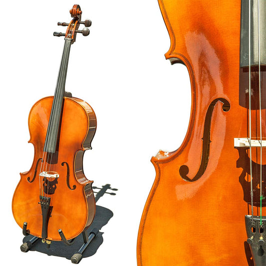 Paititi CE4009SE AVANT-GARDE Ebony Fitted Glossy Finish Solid Wood Cello with Soft Case, Brazilwood Bow, Rosin and Stopper (1/2)