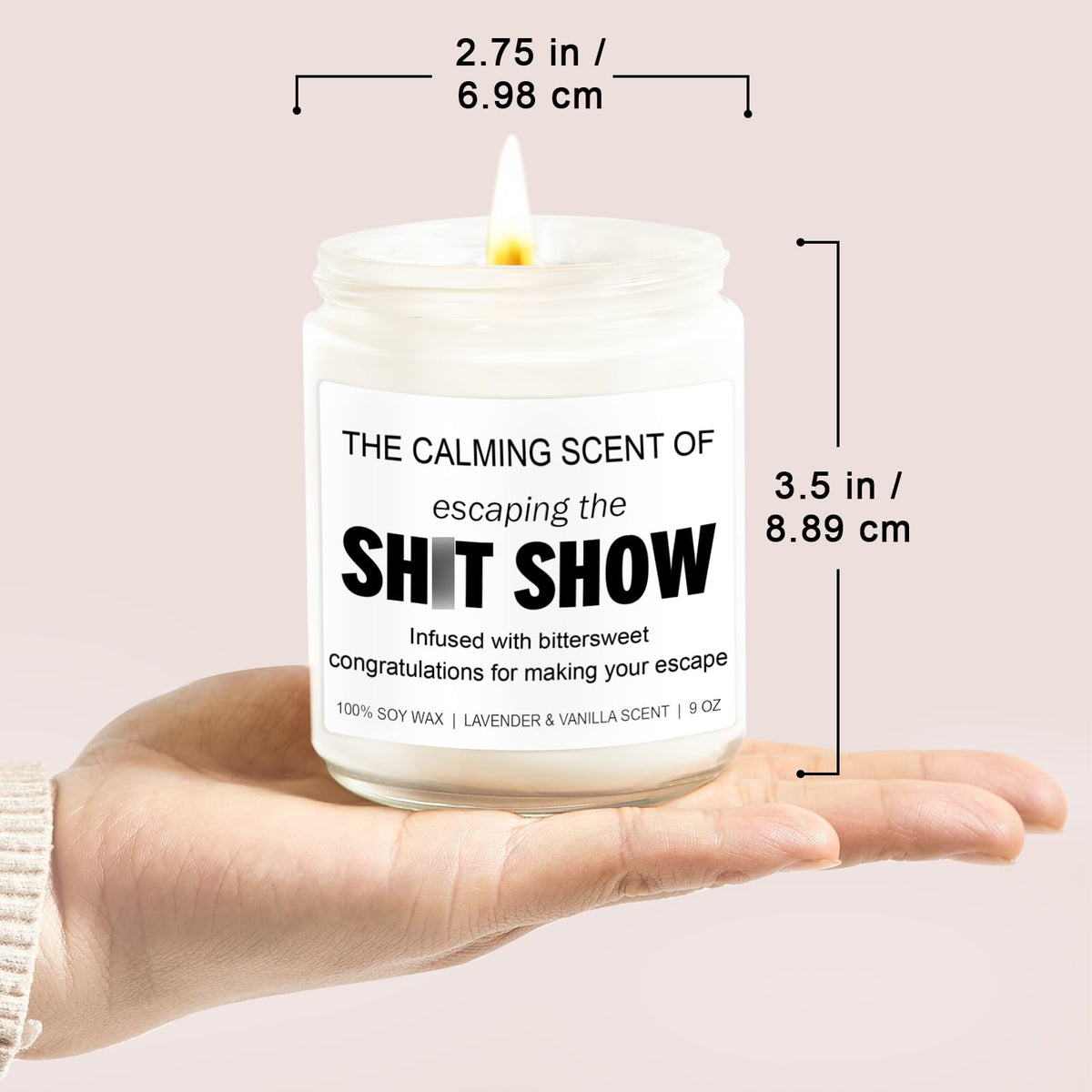 Younift Sarcastic Candles, Going Away, Goodbye, Farewell Gifts for Coworkers - Retirement, Coworker Leaving Gifts for Women, Men - Leaving Job, Moving Away Presents for Friends, Boss, Work Bestie