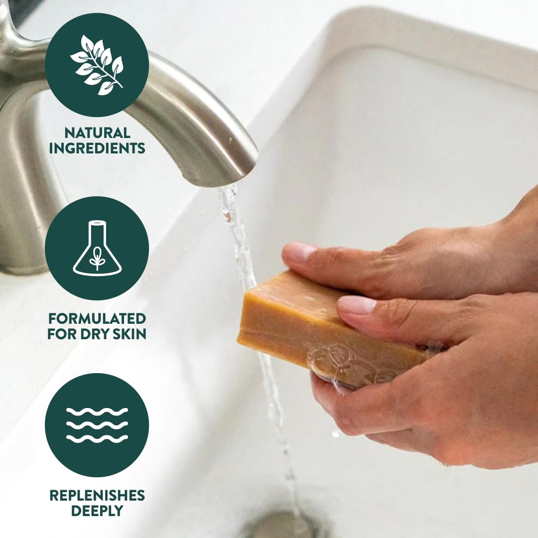 Crate 61 Organics, Handmade in Canada, Plant Based Cold Process Natural Bar Soap, With Premium Essential Oils, Dry Skin, Pack of 6 (For Him)