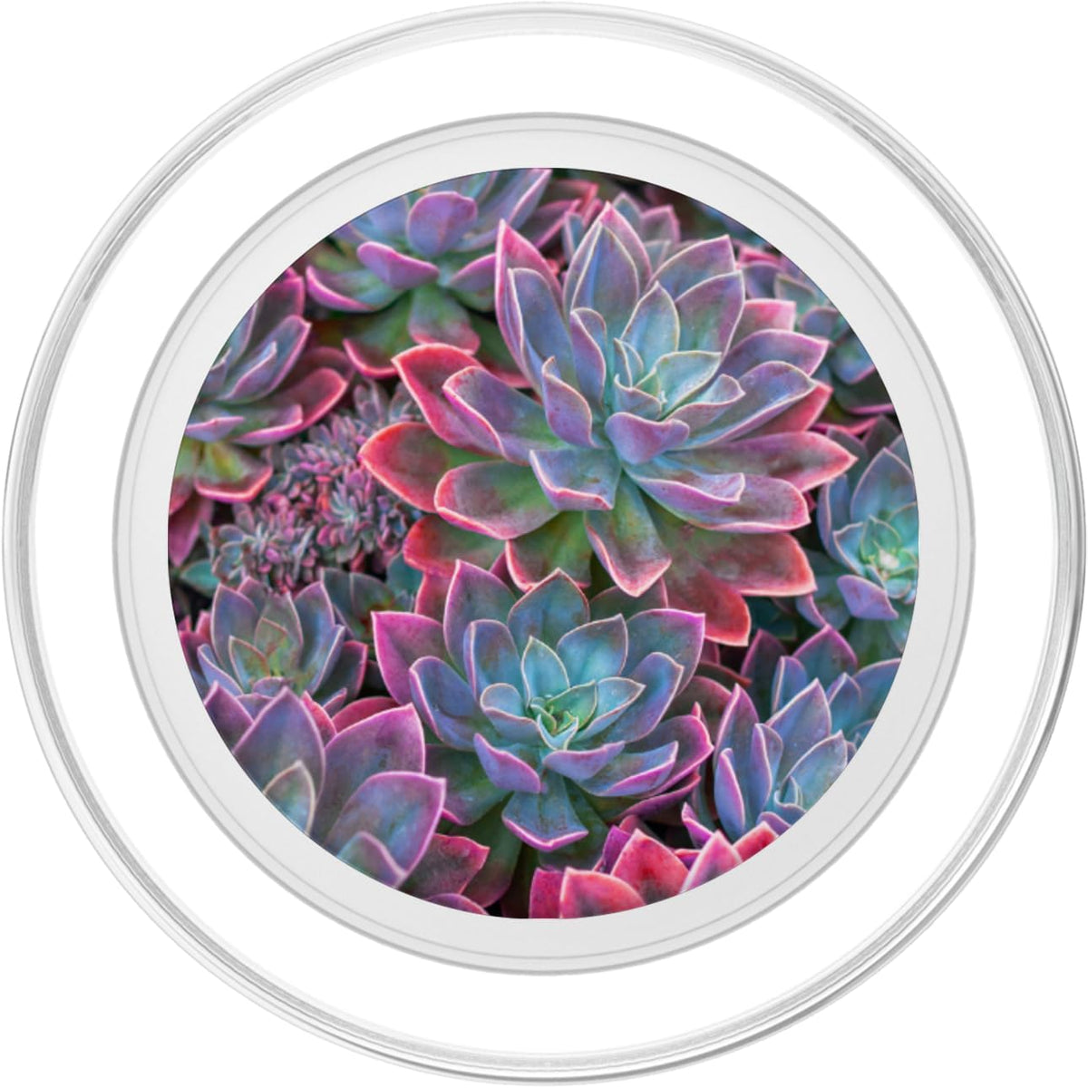 CJ Grips Succulent Plants Red PopSockets PopGrip for MagSafe