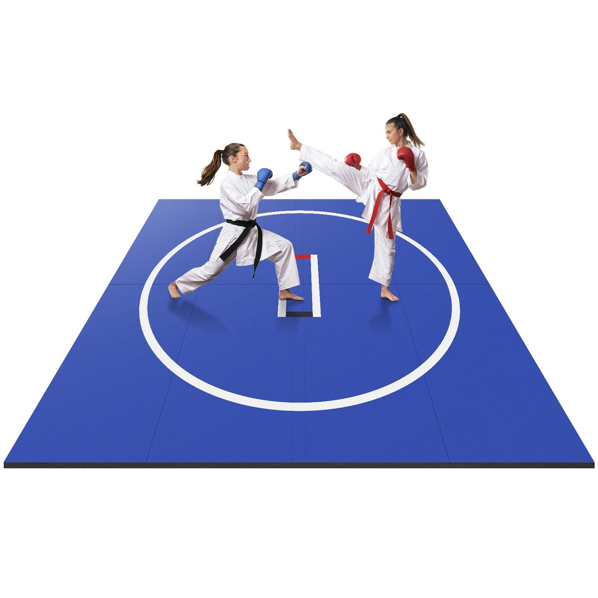 Generic X Gymnastics Training Mat Wear Resist Roll Out Wrestling Mat Anti-Slip Multi-Functional Training Blankets for Grappling Martial Art Boxing Judo