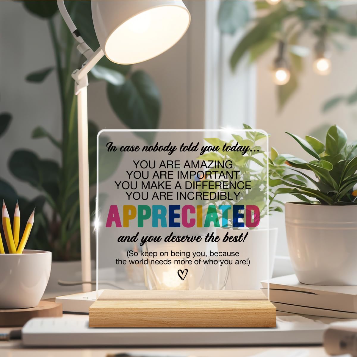 Thank You Appreciation Gifts for Colleague Coworker Boss Teacher, Inspirational Gifts for Women Men, Affirmation Gifts You Are Incredibly Appreciated Acrylic Desk Sign Decor