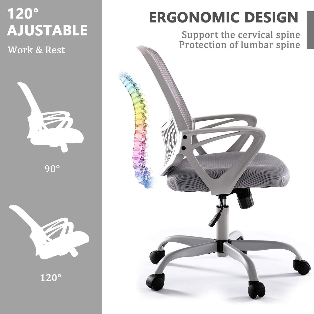 Regine Switzerland Ergonomic Office Chair - Adjustable Rolling Mesh Design with Lumbar Support | Modern Mid Back