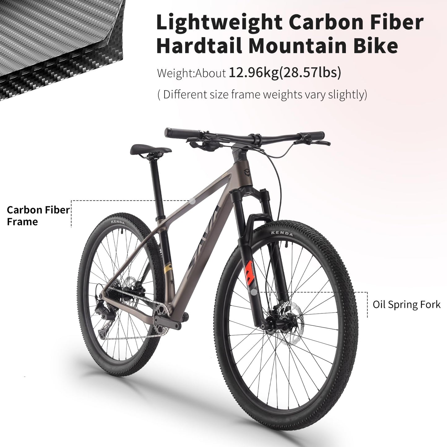 SAVADECK Carbon Fiber MTB with Shmano U6000 10 Speed Shift Groupset, Hydraulic Disc Brake with Shmano MT200 Break System (Midnight Black, 29 * 15.5)
