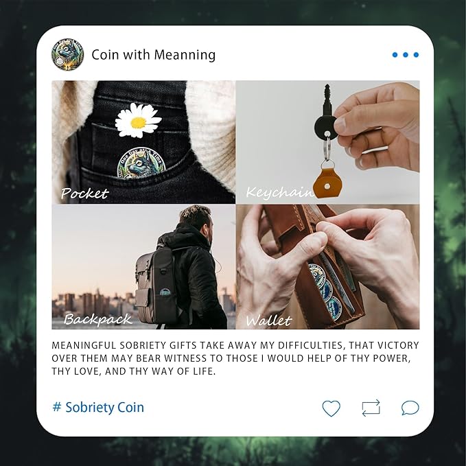 One Day at a Time 22 Year Sobriety Coin - Recovery Aurora Forest Wolf AA Coins - Addiction NA AA Chips and Medallions - Celebrate 1-30 Living Clean Narcotics Alcoholics Anonymous Gifts for Men Women