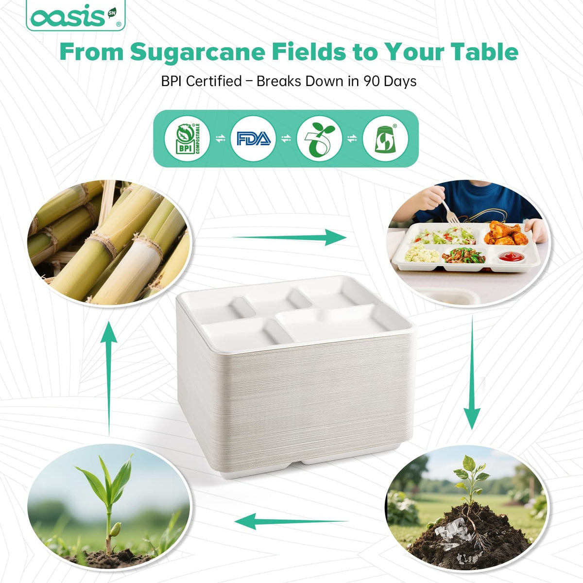 OasisSN 10x8 128-Pack 5-Compartment Divided Plates, Ideal for Light Meals, Kids Lunch, Meal Prep & Party, Heavy Duty Compostable Bagasse Plates, Microwave Safe, White