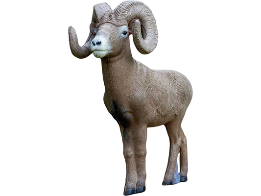 Rinehart 1/2 Scale Bighorn Ram 3D Archery Target | Scaled Bighorn Sheep with Replaceable Vital Insert | Broadhead & Field Point Compatible | Self-Healing Foam | Made in USA