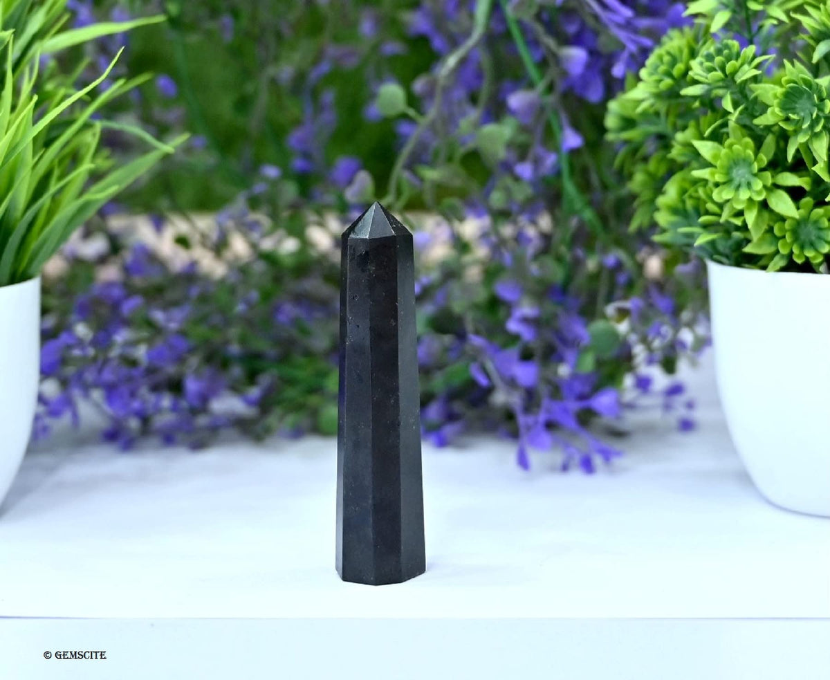 WholesaleGemShop-GEMSCITE 3 Inch Black Tourmaline Gemstones Obelisk Tower Jumbo Facet Aura Rock Crystal Natural Polished Earth Wand Spirit