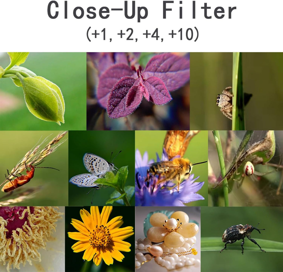 YOFOTIXAUU 46mm 4 (+1 +2 +4 +10) Set, (46mm) Close-Up Lens Filters Kit Pieces Macro Filter Lens Cap & Cleaning Cloth