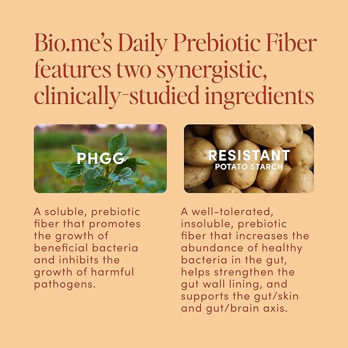 Daily Prebiotic Fiber Powder Chai - 7g Per Serving - Soluble & Insoluble Fiber Supplement Powder for Women & Men - Digestive Health & Gut Health - GLP-1 Friendly, Sugar Free - 30 Servings