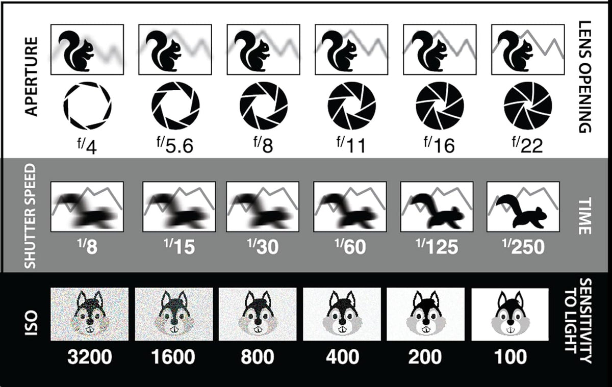 (2 Pack) DSLR/mirrorless Photography Cheat Sheets Credit Card Size Reference Card Fits in Pocket/Wallet/Camera Bag.