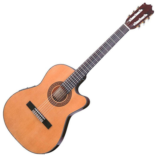 Ibanez 6-String Classical Guitar, Right, Natural