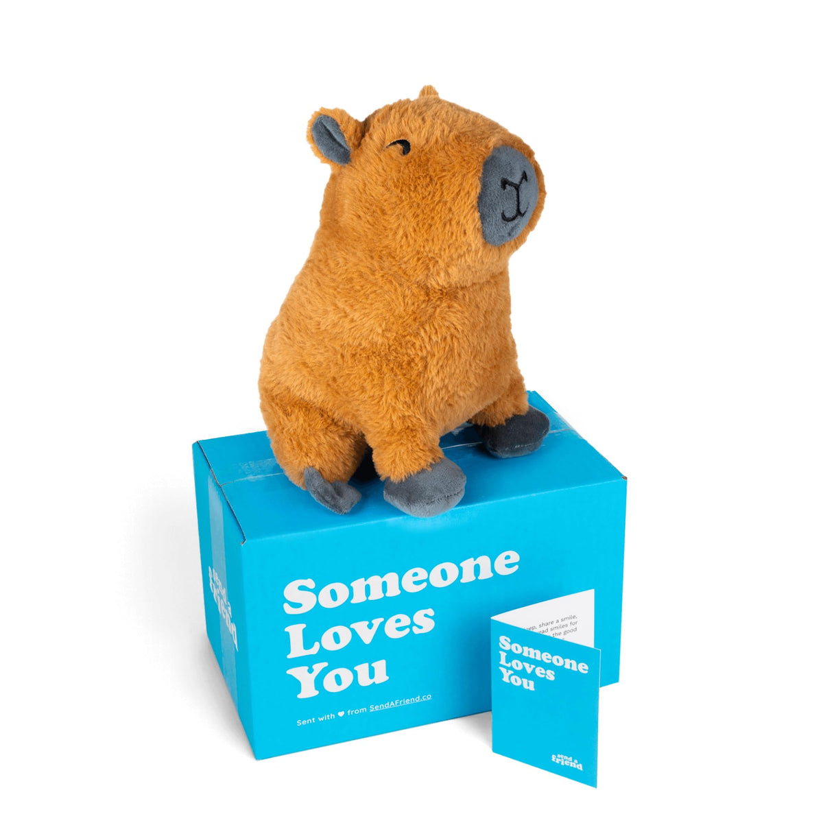 SendAFriend Crouton The Capybara Stuffed Animal Care Package, Someone Loves You Box, Great Gift for Any Reason (Love You Notecard)