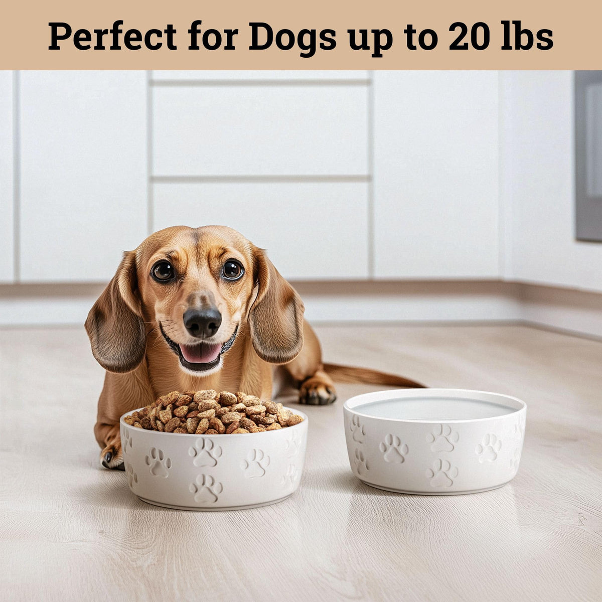 Ceramic Dog Bowl Set of 2 with Anti-Skid Base - 5" Wide x 2" Tall Ceramic Dog Bowls for Small Dogs - 2 Cup Capacity Food and Water Bowls for Dogs - Rubber Bottom Pet Bowl Set of 2 for Small Pets