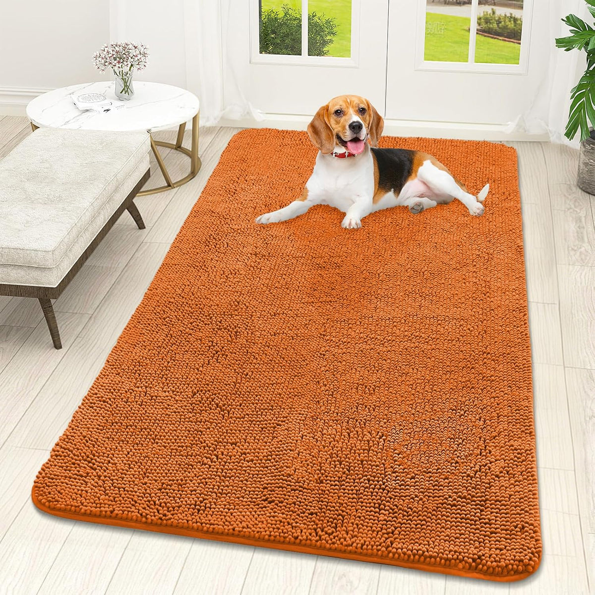 OLANLY Dog Door Mat - Absorbent Non-Slip Chenille Mat for Muddy Paws | 59x32, Quick Dry, Indoor Carpet
