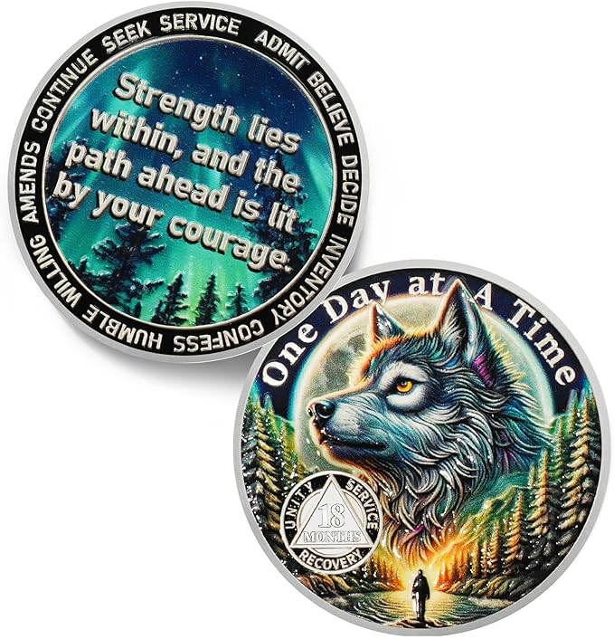 One Day at a Time 18 Month Sobriety Coin - Recovery Aurora Forest Wolf AA Coins - Addiction NA AA Chips and Medallions - Celebrate 1-30 Living Clean Sober Alcoholics Anonymous Gifts for Men Women