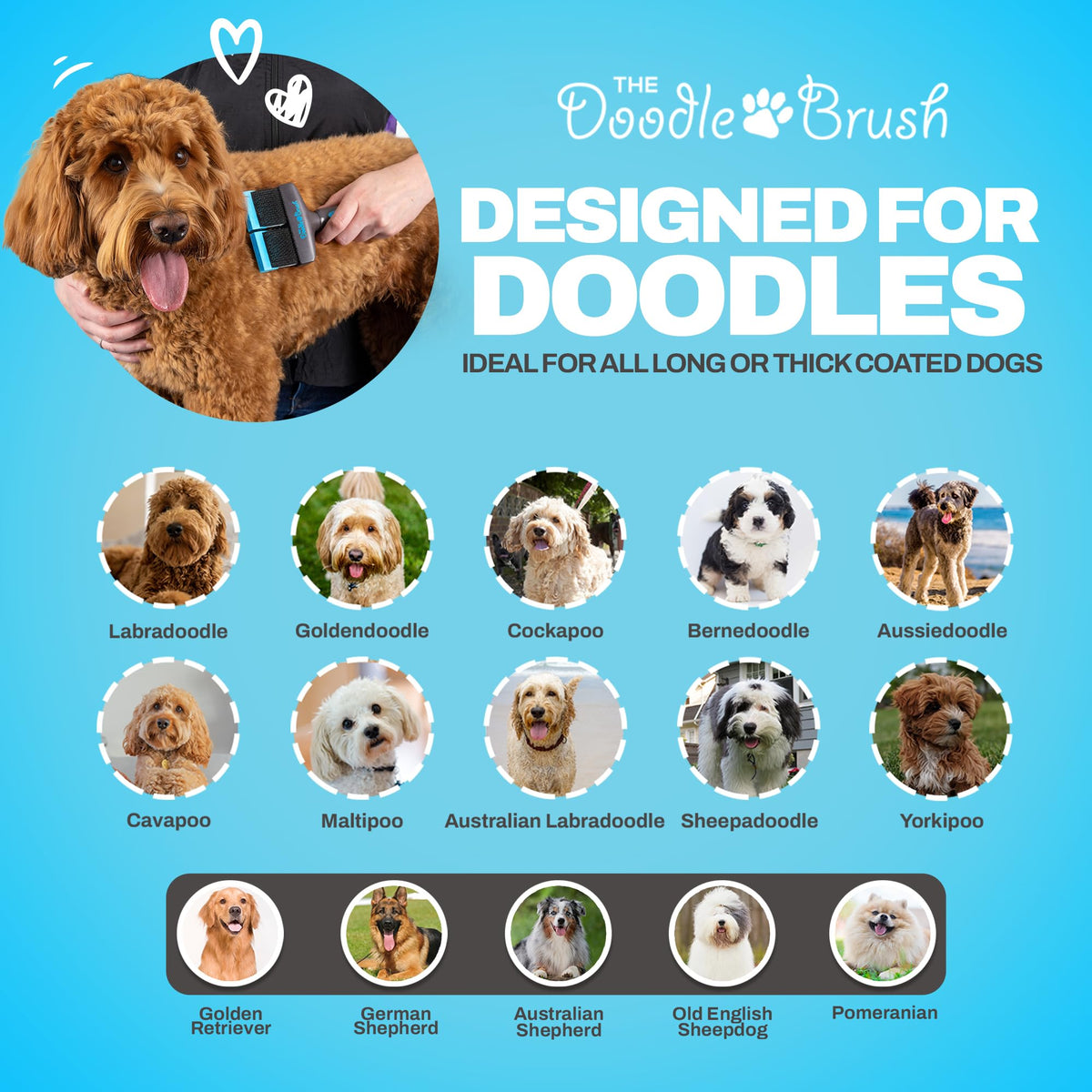 The Doodle Brush - Slicker Dog Brush Bundle for Cockapoo, Goldendoodle & Poodle - Single & Double Head Grooming Brush for Long-Haired Dogs - Detangler & Grooming Tool