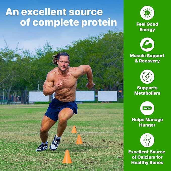 Orgain 38g High Protein Shake, Dairy Isolate Protein Milk, Chocolate Fudge, 6g BCAAs, 1g Sugar Per Serving, Meal Replacement, Ready to Drink, Keto Friendly, Gluten-Free 14 Fl Oz (Pack of 12)