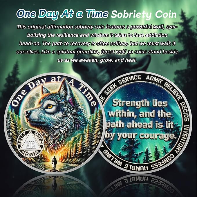 One Day at a Time 19 Year Sobriety Coin - Recovery Aurora Forest Wolf AA Coins - Addiction NA AA Chips and Medallions - Celebrate 1-30 Living Clean Narcotics Alcoholics Anonymous Gifts for Men Women