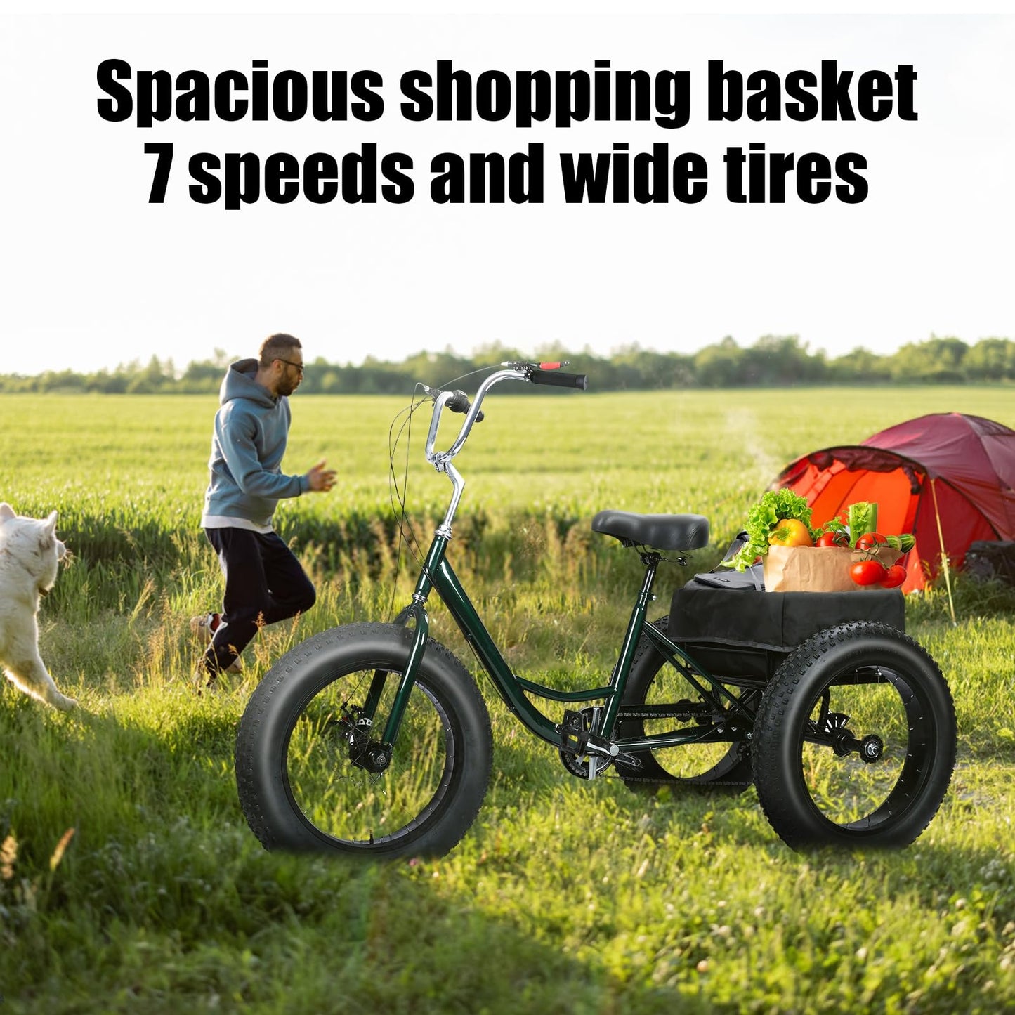 Masiunoz 20 Inch Snow Fat Tire Trike - 7 Speed Adult 3 Wheel Bicycle, Big Wheel Tricycle with Rear Cargo Basket, 450lb Capacity, Dual Disc Brakes, Comfort Seat for Seniors