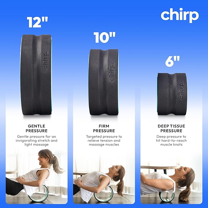 Chirp Wheel Foam Roller ??Targeted Back & Neck Relief, Lumbar Spine Stretcher, Spinal Decompression Back Stretcher, Massage Roller with Density Foam for Physical Therapy, Supports 500lbs, 10-Inch Mint