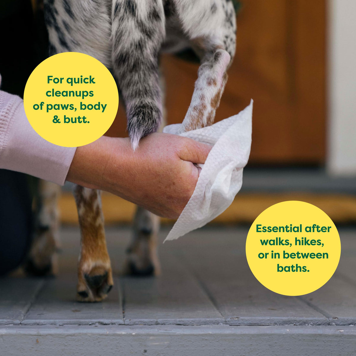 Earth Rated Ear Wipes & Grooming Wipes Bundle - Includes 70 Wild Oat-Scented Pet Ear Wipes and 100 Unscented Grooming Wipes.