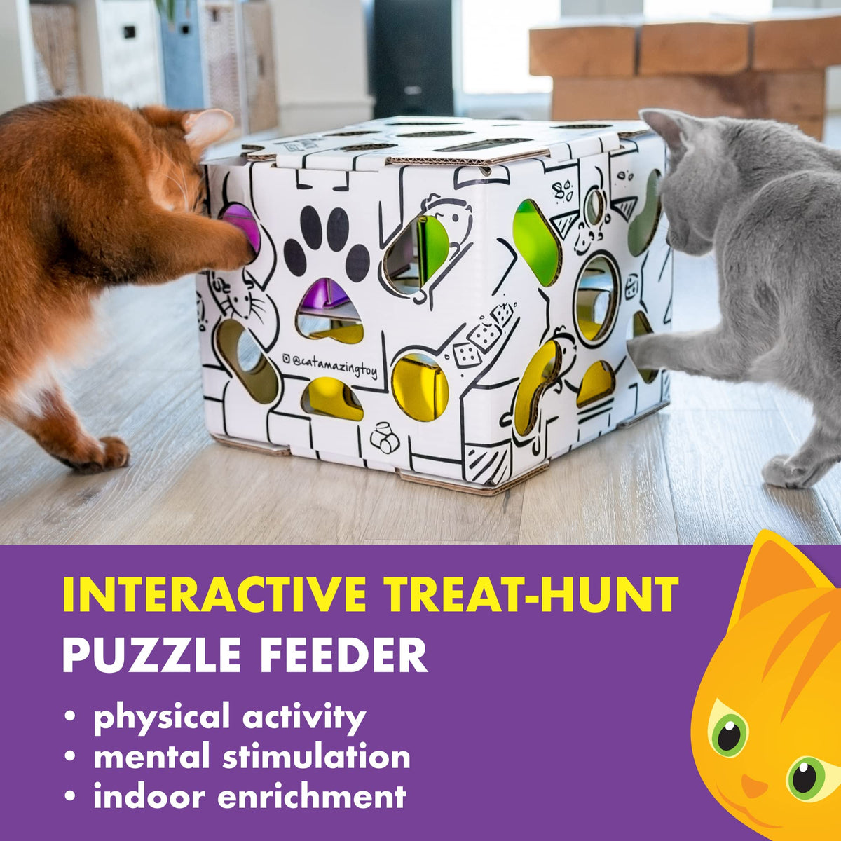 Cat Amazing Sliders – Puzzle Toy for Indoor Cats – Treat Box Interactive Maze – Enrichment Feeder – Best Cat Toy Ever!