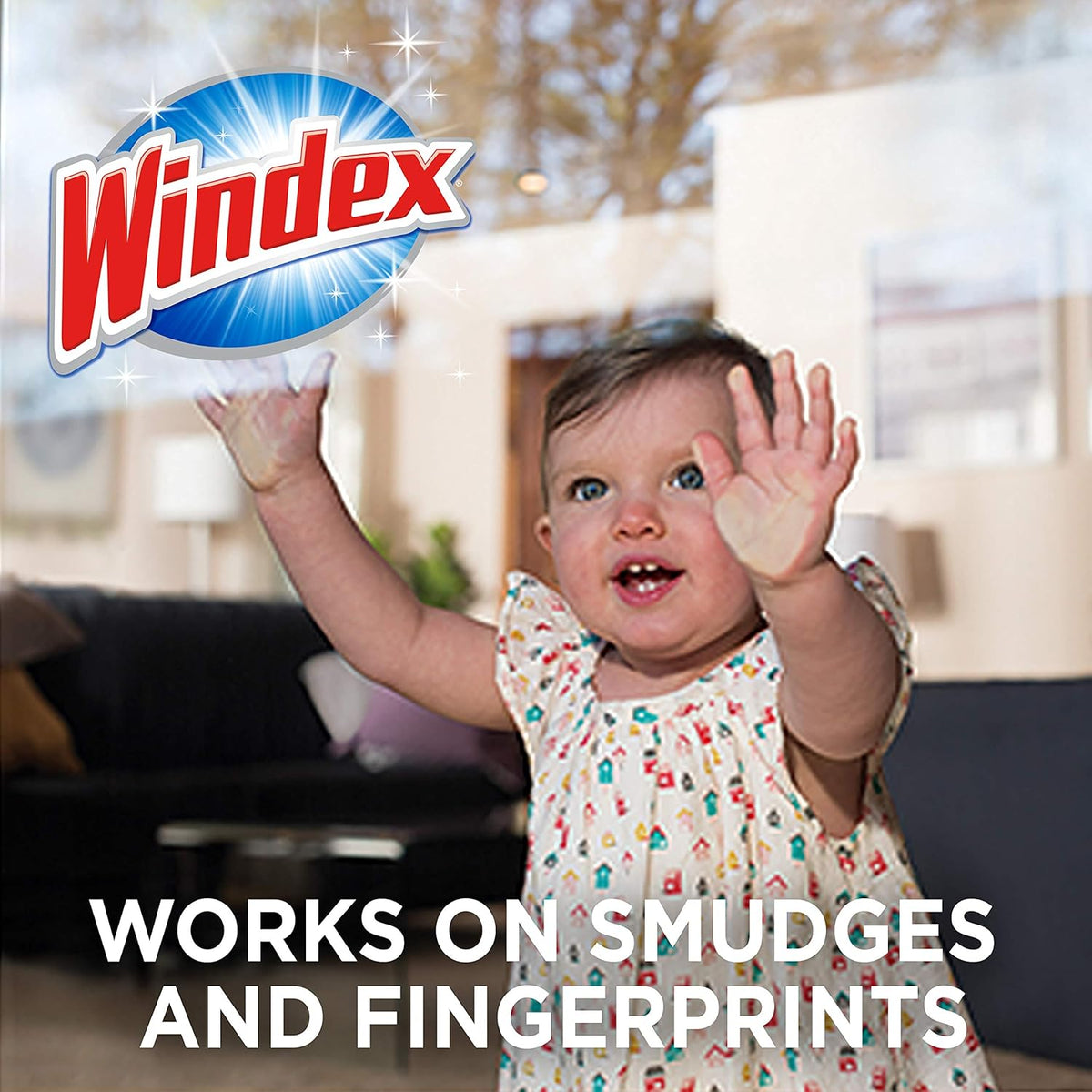 Windex Glass Cleaning Wipes - Ammonia-Free, Pre-Moistened, Fresh Crystal Rain Scent | 25 Count