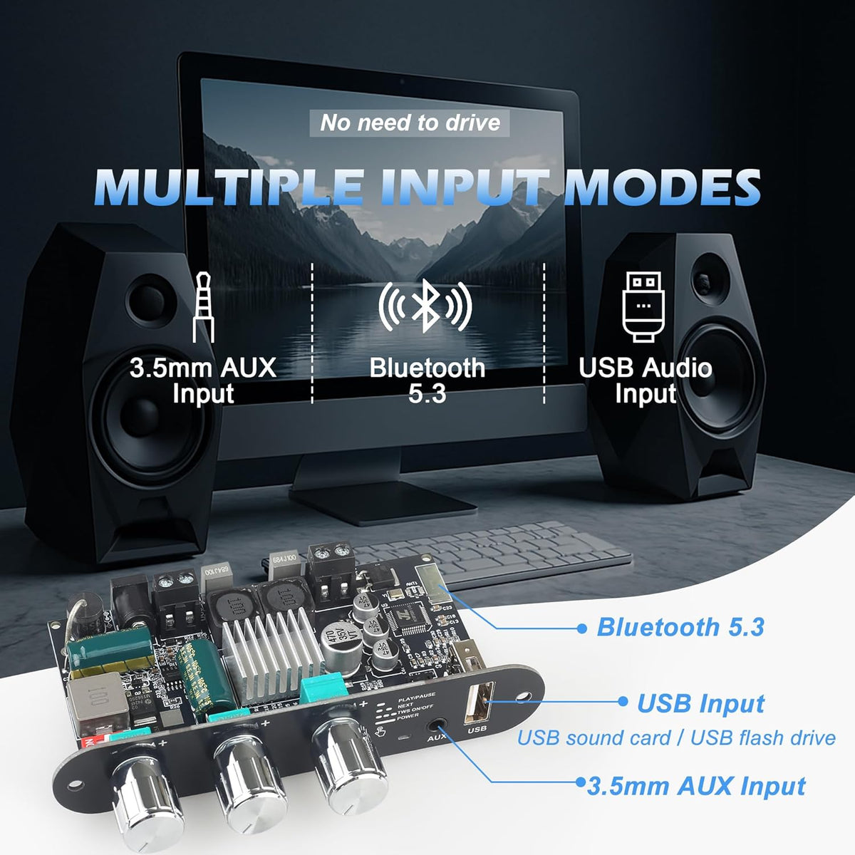 Wuzhi Audio 2PCS ZK-1001U 100W 9-24V, Mono Amplifier Board with TWS, Power Output, Vehicle Amplifier Wide Voltage Input