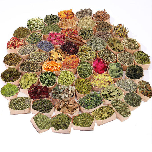 60 Pcs Labeled Dried Herbs and Flowers Kit for Witchcraft, Individually Packed Botanicals for Spell Jars, Altar Decor, Resin, Soap Making and Candle Decoration