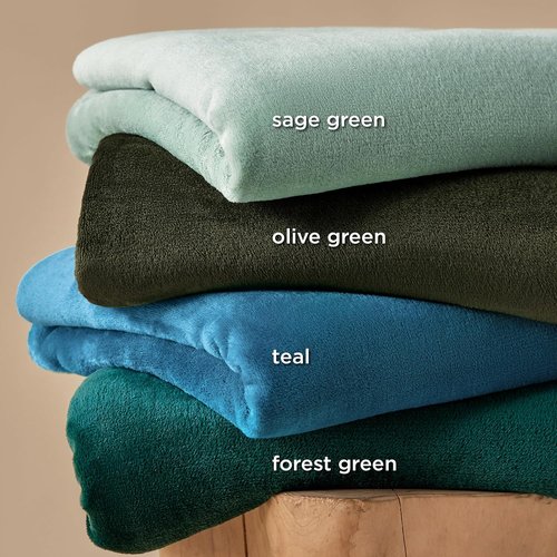 Bedsure GentleSoft Fleece Blanket - Sage Green Queen Size | 280GSM Soft, Lightweight & Cozy for Home or Travel