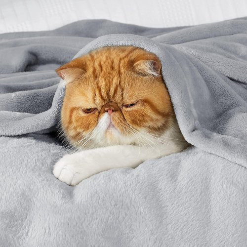 Bedsure GentleSoft Fleece Blanket - Lightweight Plush Cozy Twin Size in Light Grey, 60x80 Inches