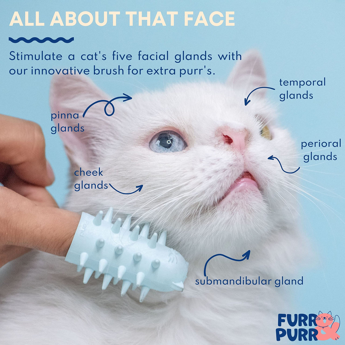 Furr&Purr Cat Brush Set for Indoor Cats - Grooming Tools: Face Scratcher, Calming Massager, and Scratching Pad (2-Pack, Made in the USA)
